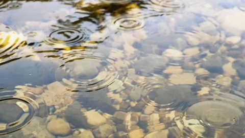 Tundra rain slow motion 180 2 Stock Footage 80282002