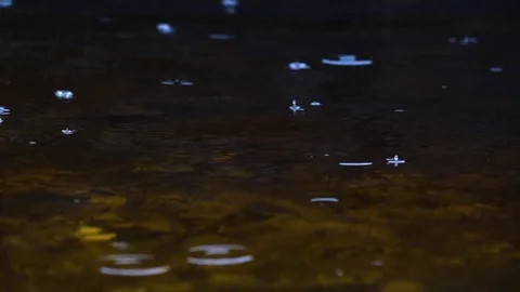 Tundra rain slow motion 180 Stock Footage 80282080