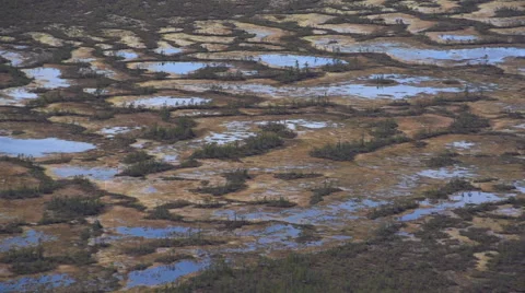 Tundra in the spring.  View from above Stock Footage 54804328
