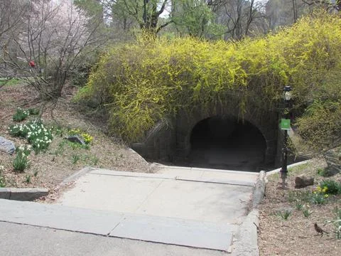 Tunel in park Stock Photos