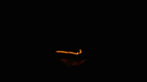 Tungsten light bulb light turns on and off cozy on black background Stock Footage 236822451