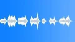 Tuning a violin Sound Effect