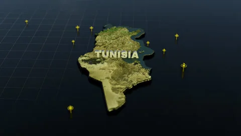 Tunisia 3D Map With Animation Stock Footage 311333364