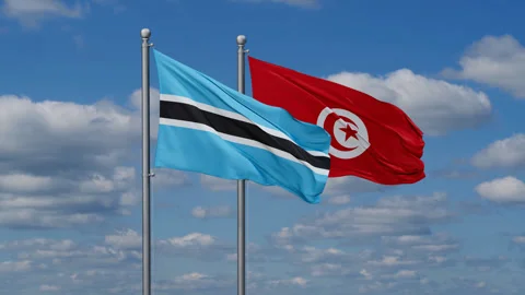 Tunisia and Botswana two flags Stock Footage 287115375