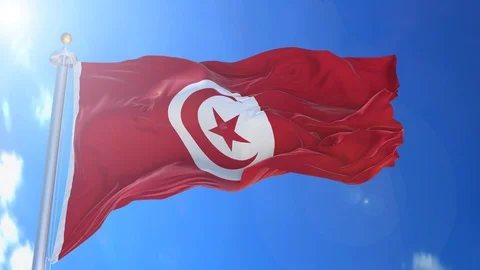 Tunisia animated flag pack in 3D and green screen Stock Footage 119931780