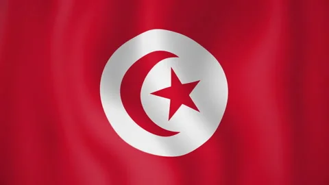 Tunisia animated flag. Seamless loop. 4K Stock-Footage 145466999