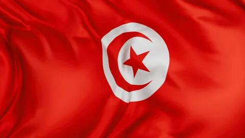 Tunisia cloth flag background loop Stock Footage 310850941