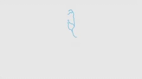 Tunisia Country Line Map Self Drawing Animated Overlay, Alpha 4K Видео 340290361