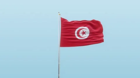 Tunisia Flag With Alpha And Background With Different Angle Of Movement   Stock Footage 131795450