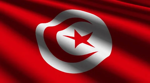 Tunisia flag close up Stock Footage 942084