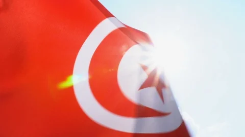 Tunisia Flag Flapping Stock Footage 118964183
