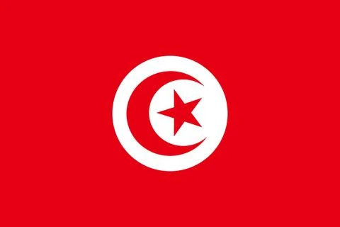 Tunisia flag flat vector illustration Stock Illustration