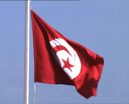 TUNISIA flag Video stock 20526788