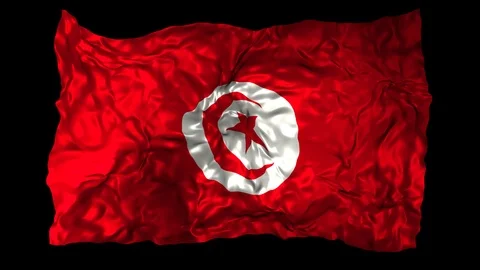 Tunisia flag Stock Footage 110861668
