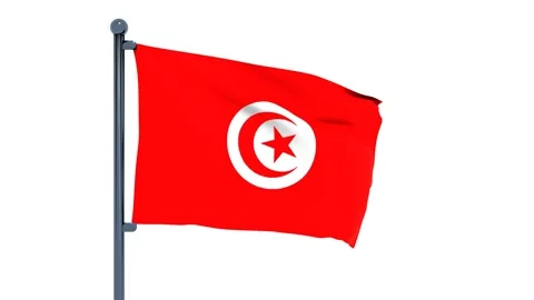 Tunisia Flag Stock Footage 150541389