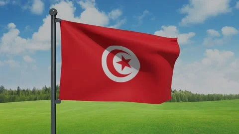 Tunisia Flag Video stock 153256449