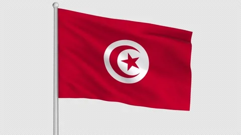 Tunisia Flag Stock Footage 212097272