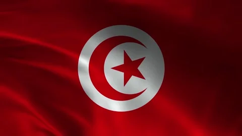 Tunisia Flag Stock Footage 336904199