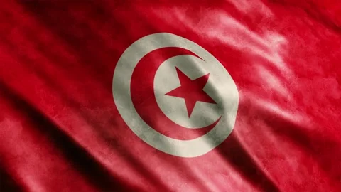 Tunisia Flag Grunge Stock Footage 249038167