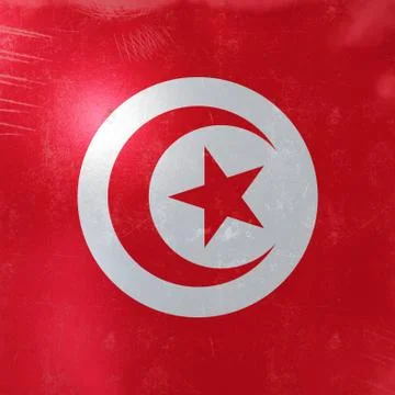 Tunisia flag icon Stock Illustration
