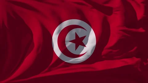 Tunisia Flag Loop Stock Footage 295743038