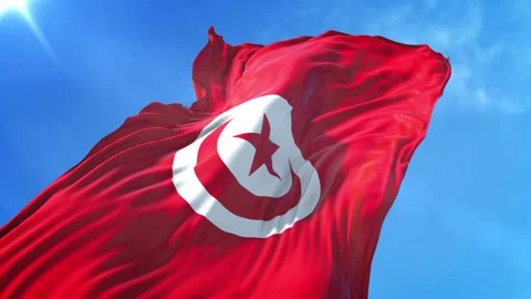 Tunisia Flag Low Angle View Stock Footage 295699157