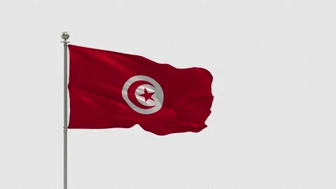 Tunisia Flag Pole Looping  Animation Include Alpha Channel  스톡 동영상 162184535