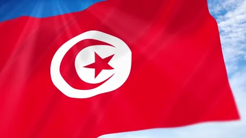 Tunisia Flag Seamless Loop 4k 60fps on Sky Background Stock Footage 341678813
