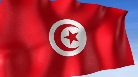 Tunisia Flag - Set of 3 Angles with Masks [3WaveSeries] Stock Footage 102776906