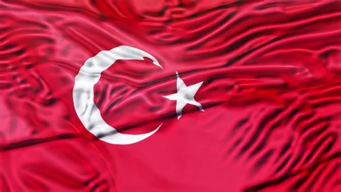 Tunisia Flag Waving 3D Animation Loop. 库存影片 336517197
