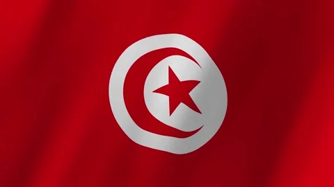 Tunisia flag waving animation Stock Footage 222844962
