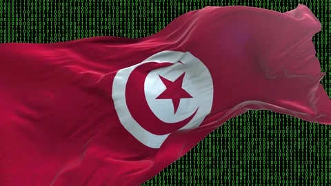 Tunisia flag - Waving flag on matrix binary code background Stock Footage 321421966