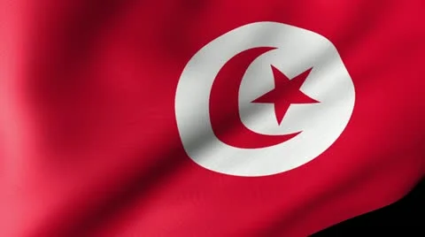 Tunisia Flag Waving Stock Footage 12230287