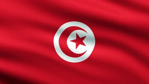 Tunisia flag waving full screen background animation Stock Footage 267115401