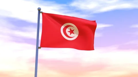Tunisia Flag waving in the high wind Stock Footage 155459318