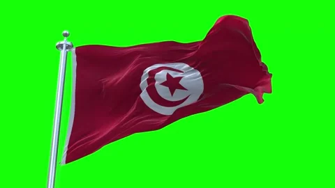 Tunisia Flag Waving in Loopable and Textured green screen background Stock Footage 296875749