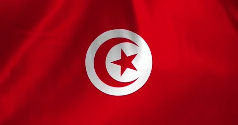 Tunisia flag waving with the wind background loop video animation Video stock 327173713