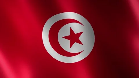 Tunisia flag waving in the wind 库存影片 348689152