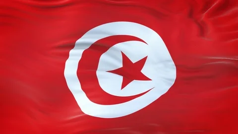 Tunisia flag waving in the wind with highly detailed fabric texture 動画素材 122649902
