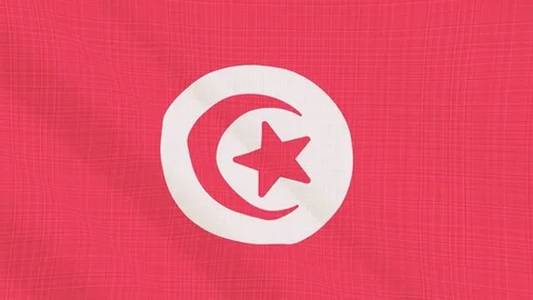 Tunisia flag waving in the wind. Icon in the frame. Animation loop Stock Footage 83800969