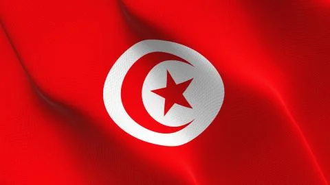 Tunisia flag waving on wind. Stock Illustration