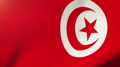 Tunisia flag waving in the wind. Looping sun rises style.  Animation loop Stock-Footage 48914604