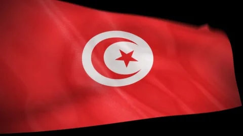 Tunisia Flag Wiper Video stock 993081