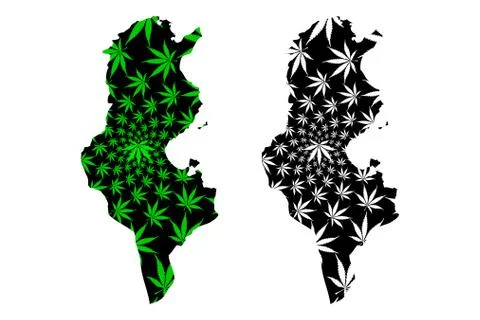 Tunisia - map is designed cannabis leaf Stock Illustration
