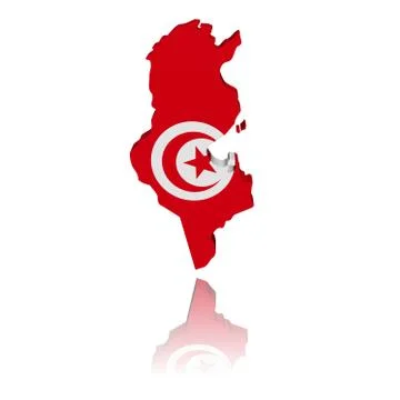 Tunisia map flag 3d render with reflection illustration Stock Illustration