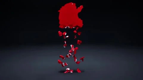 Tunisia Map With Flag 스톡 동영상 324865336