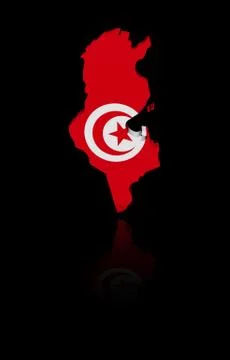 Tunisia map flag with reflection illustration Stock Illustration