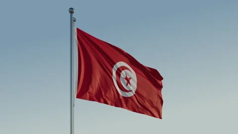 Tunisia Tunis Flag loop Cinematic Realistic Waving Blue Sky 스톡 동영상 300938974