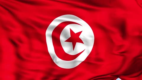 Tunisia Waving Flag Background Stock Footage 204132765