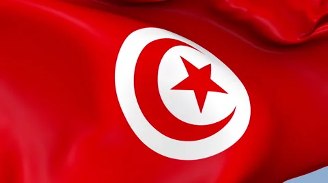 Tunisia Waving Flag Background Loop Stock Footage 64221423